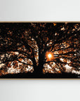 Photography Tree3