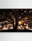 Def Roy Ensink Photography Tree3