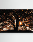 Photography Tree3