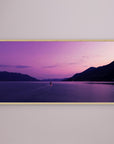 Purple Adventure