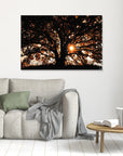 Photography Tree3