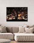 Photography Tree3
