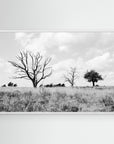 Declining Harmony