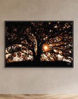 Photography Tree3