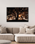 Def Roy Ensink Photography Tree3