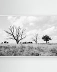 Declining Harmony