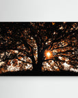 Def Roy Ensink Photography Tree3