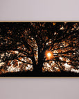 Def Roy Ensink Photography Tree3