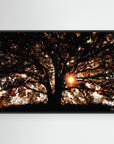 Photography Tree3