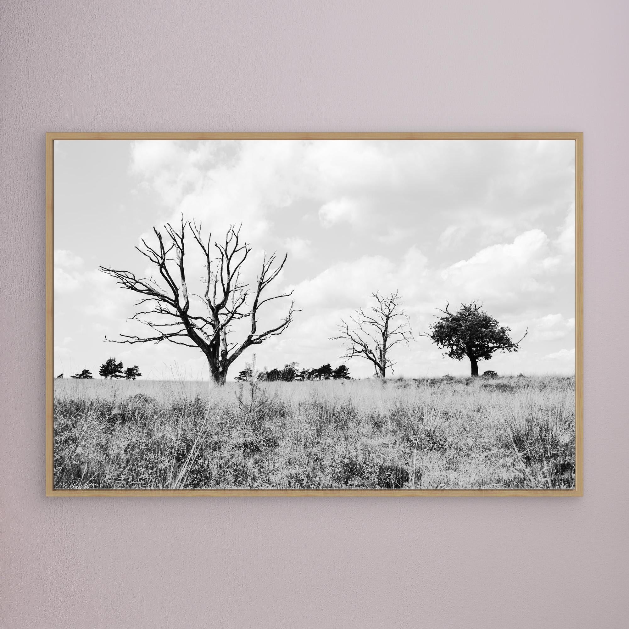 Declining Harmony