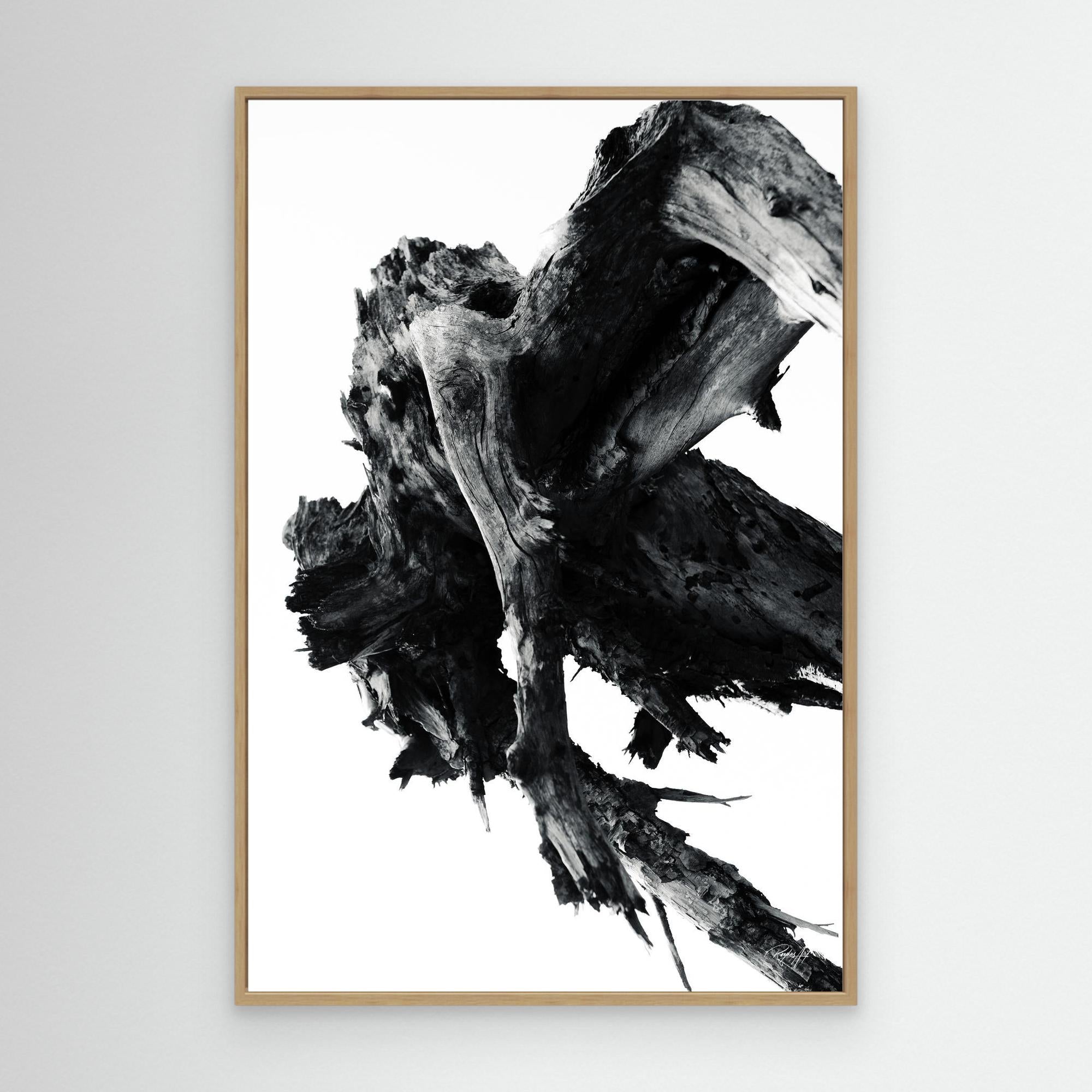 Abstract Nature