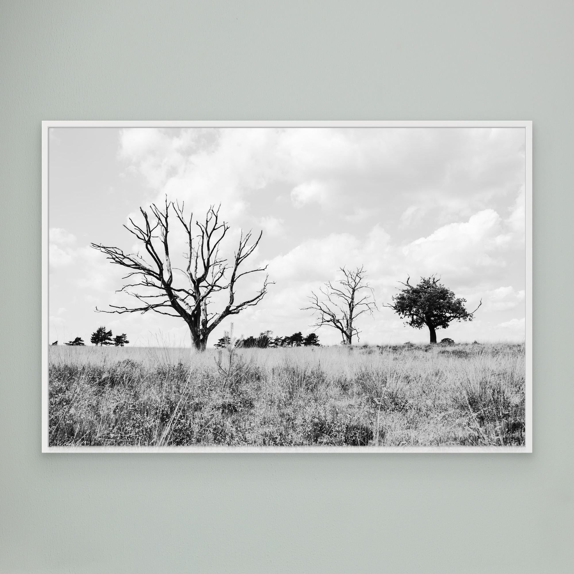 Declining Harmony