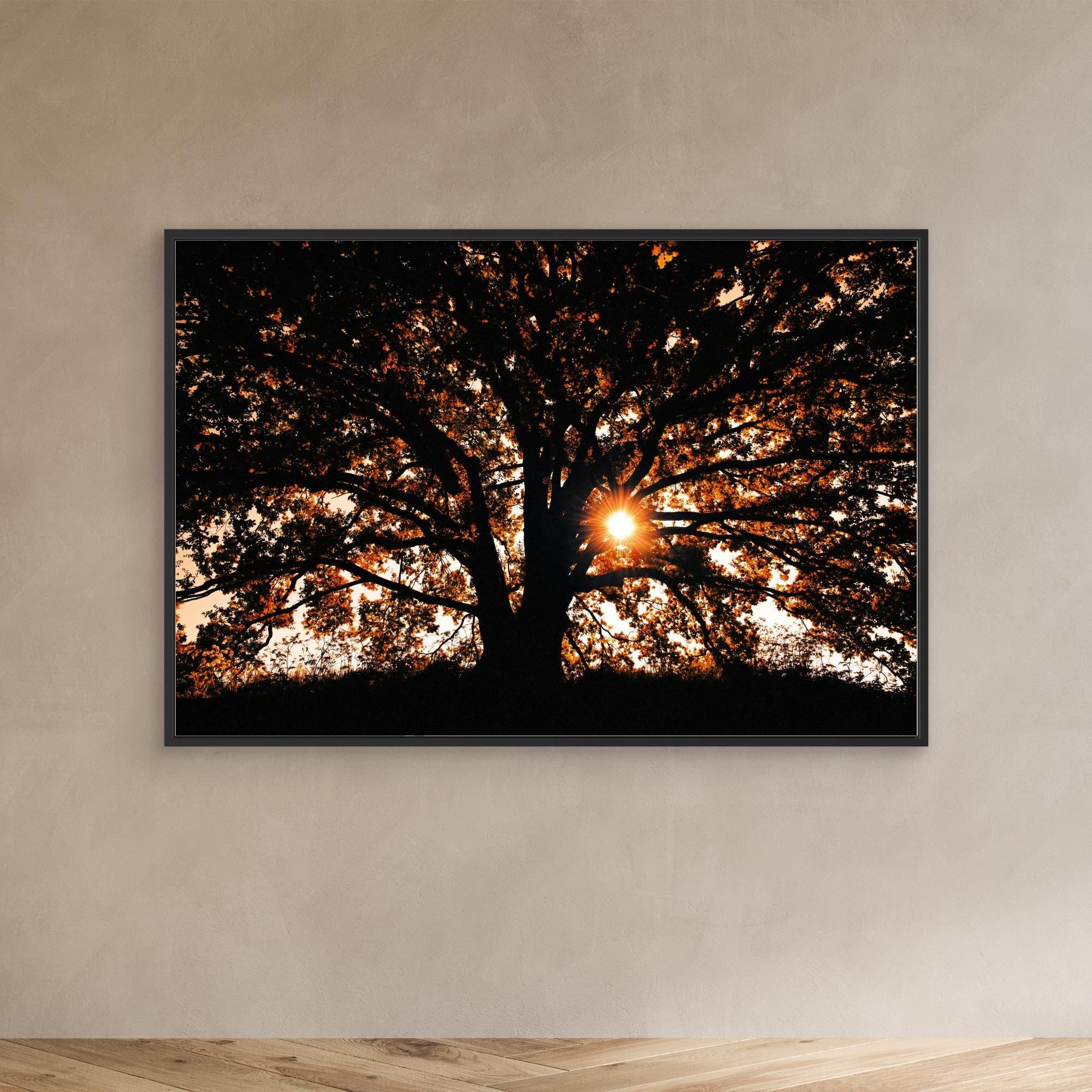 Def Roy Ensink Photography Tree3