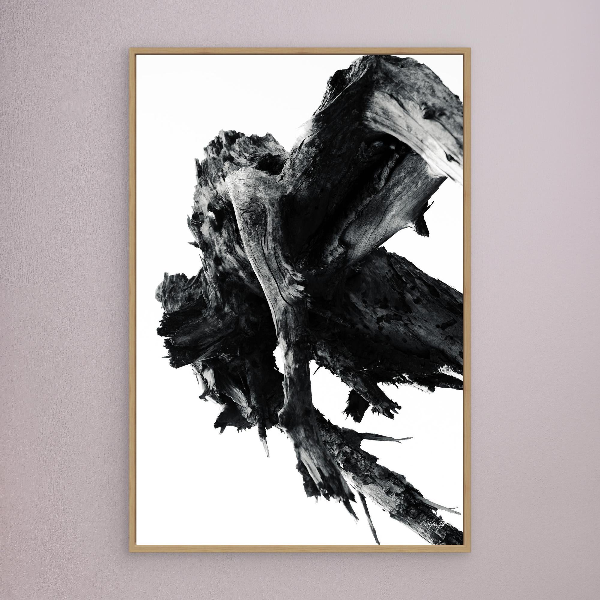 Abstract Nature