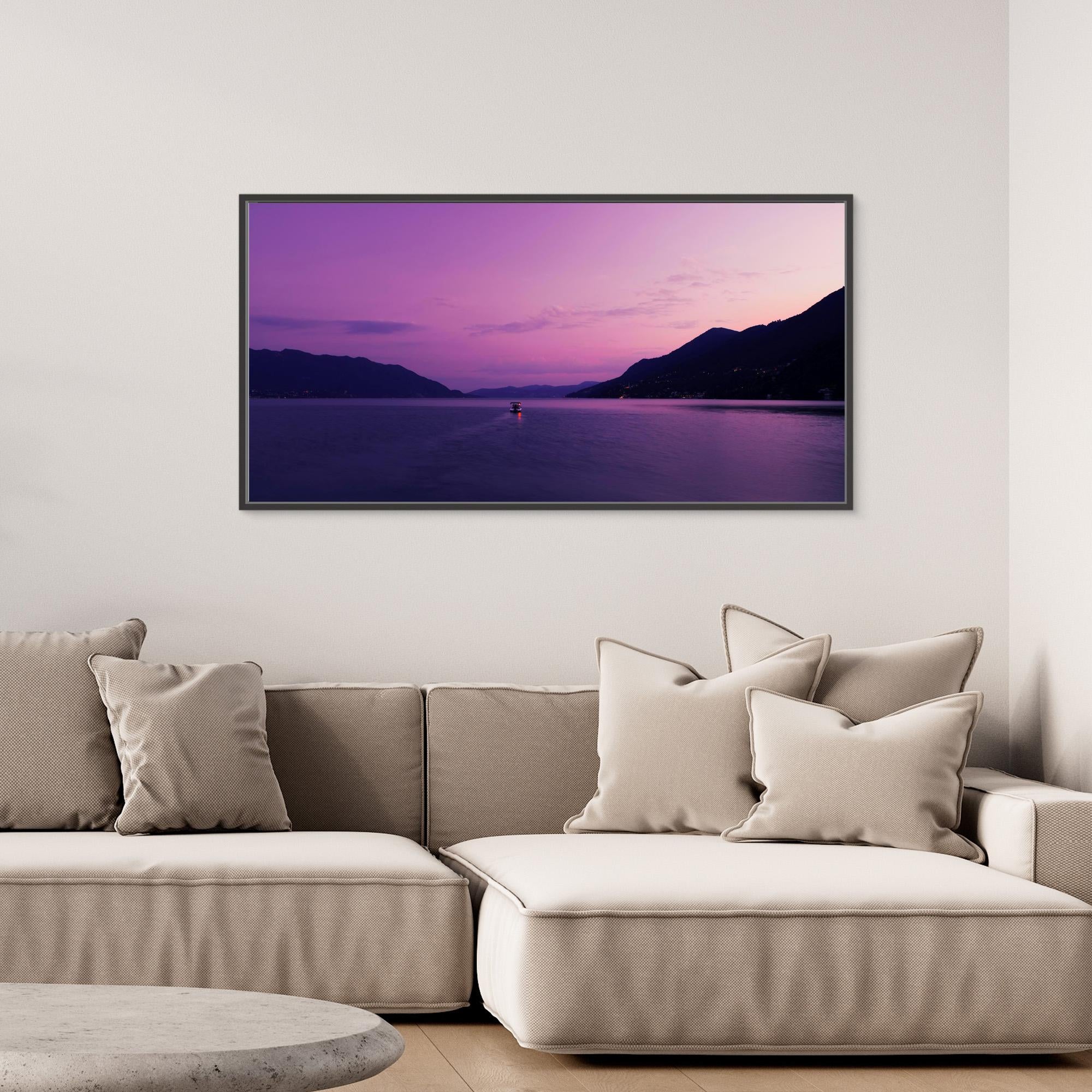 Purple Adventure