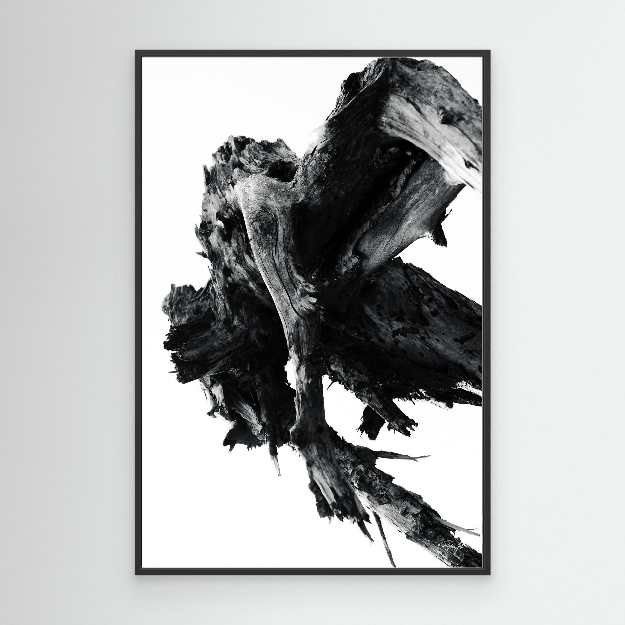 Abstract Nature