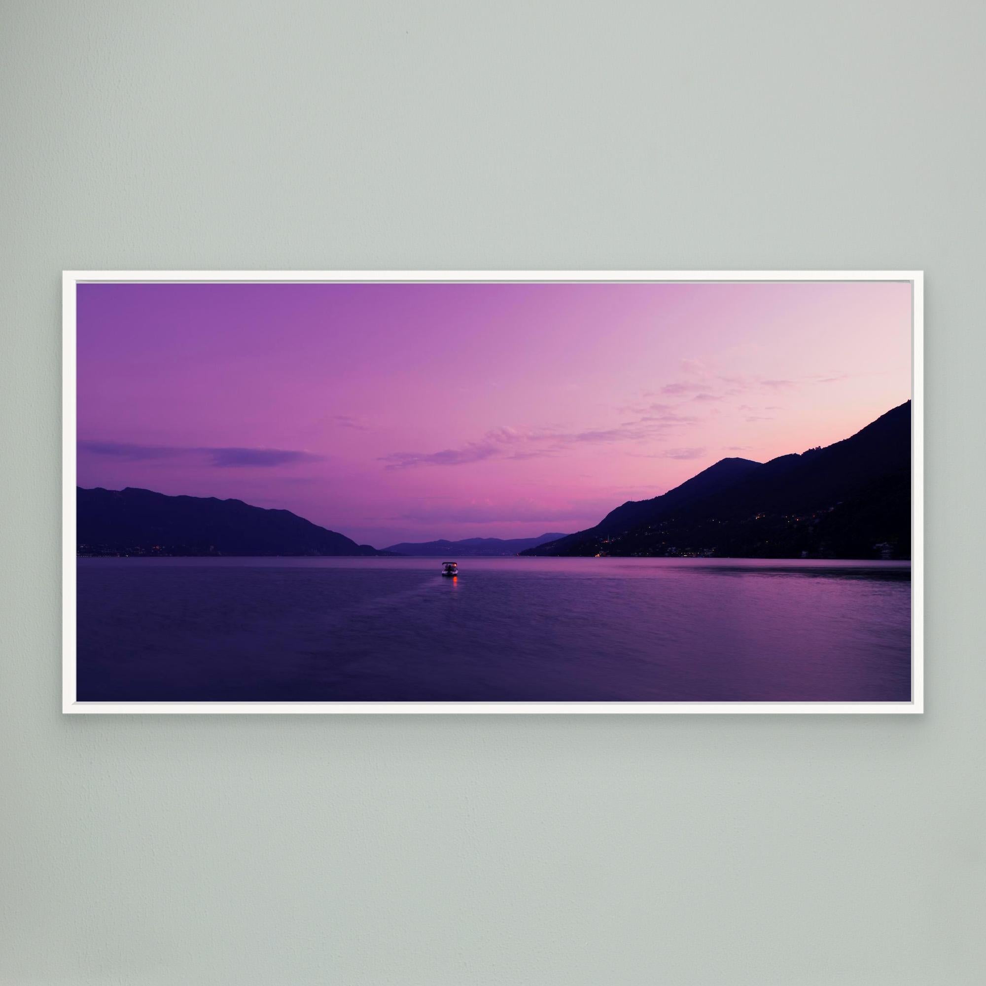 Purple Adventure