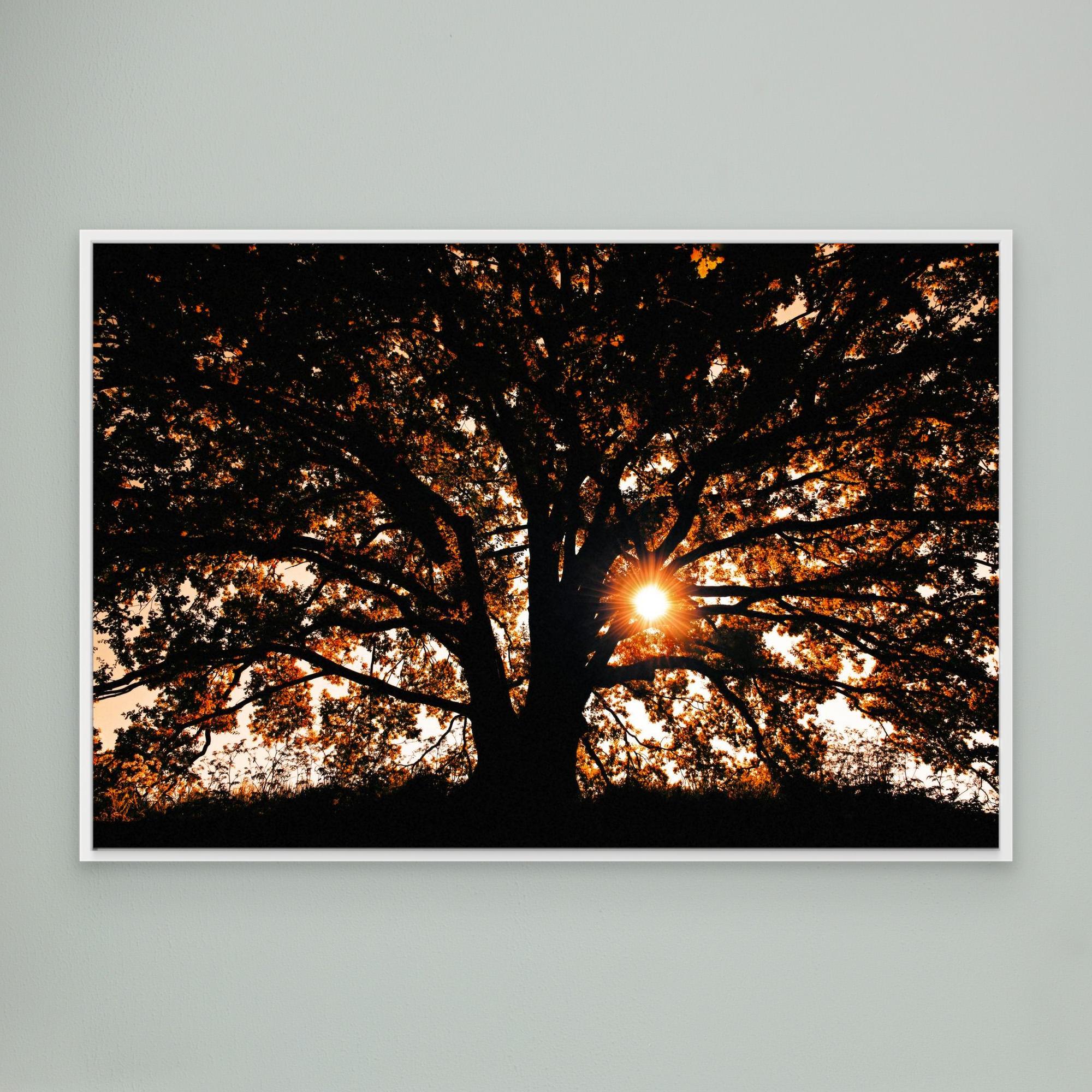 Def Roy Ensink Photography Tree3