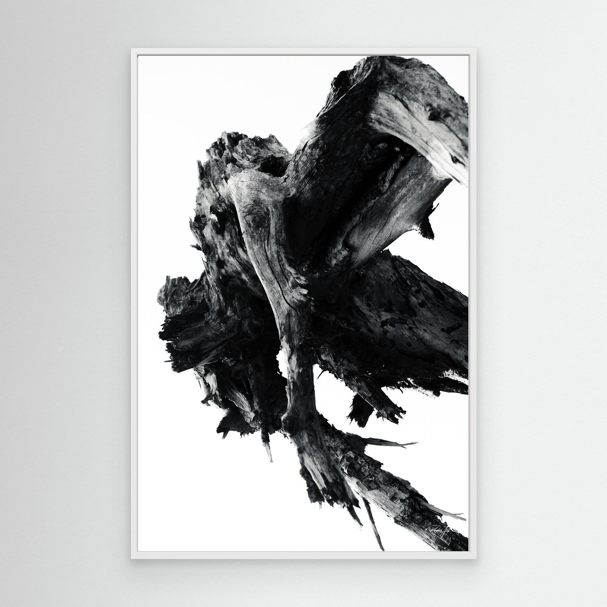 Abstract Nature