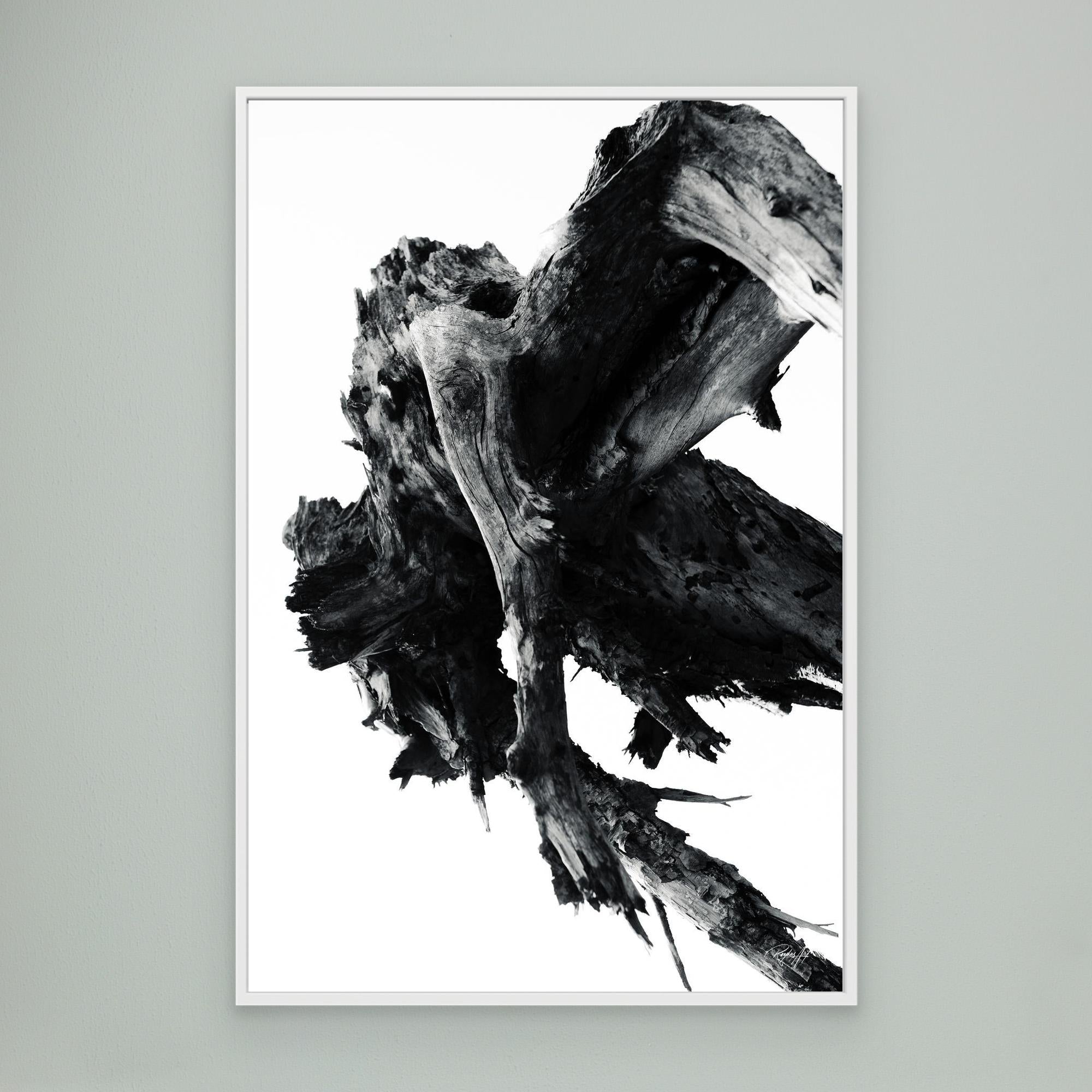 Abstract Nature
